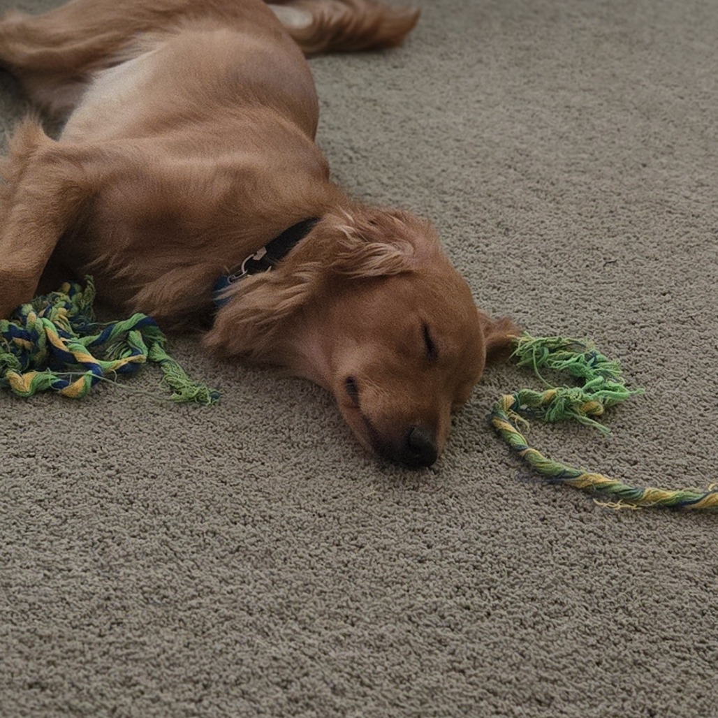 Charlie