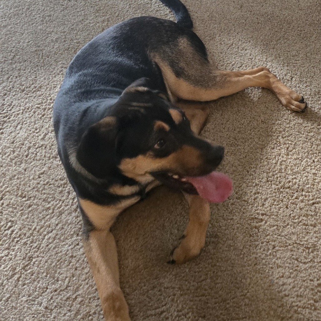 Gus