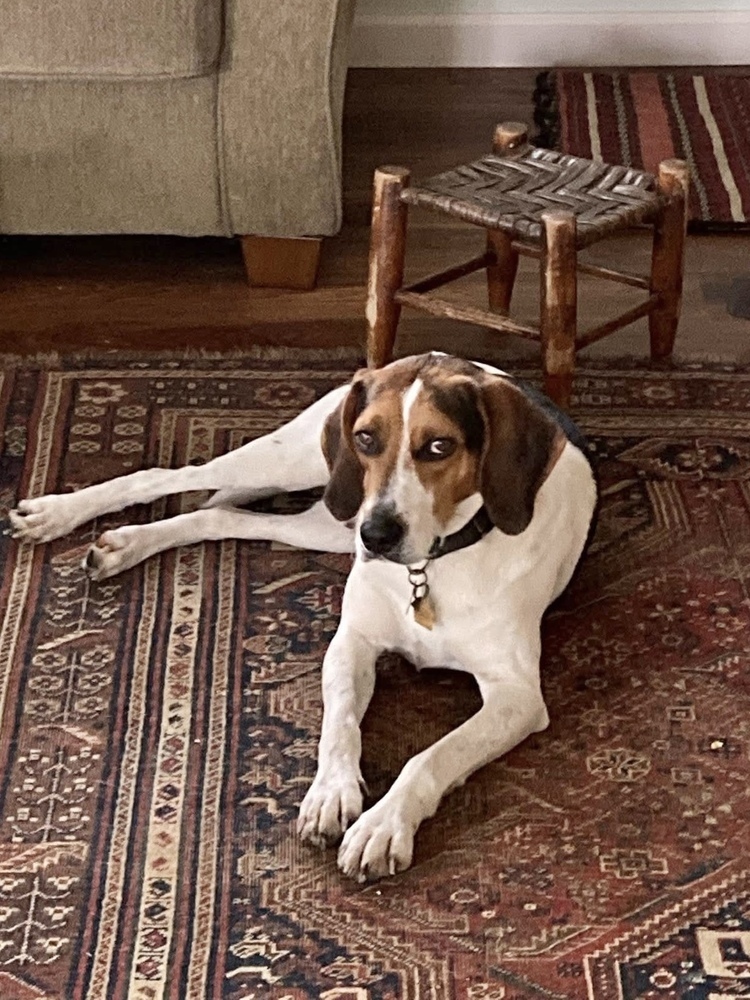 Walter