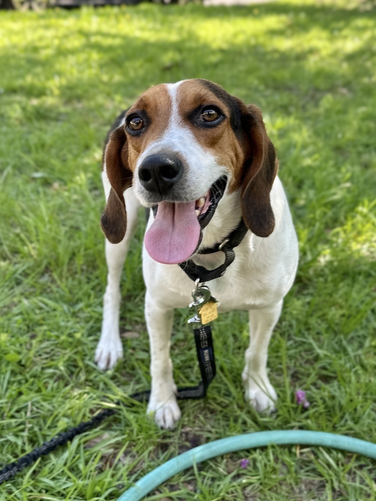 Walter
