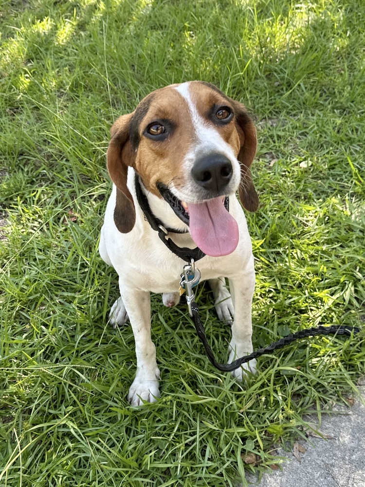 Walter