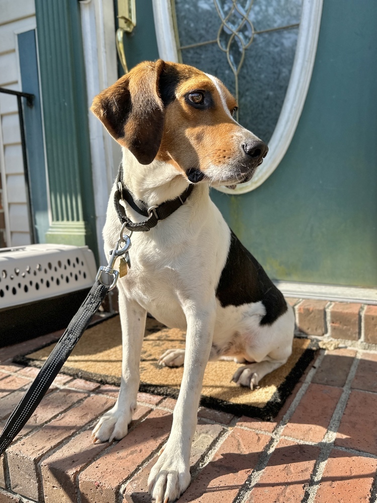 Walter