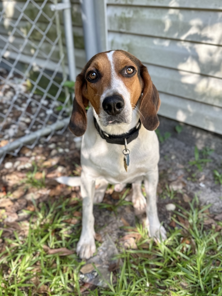 Walter