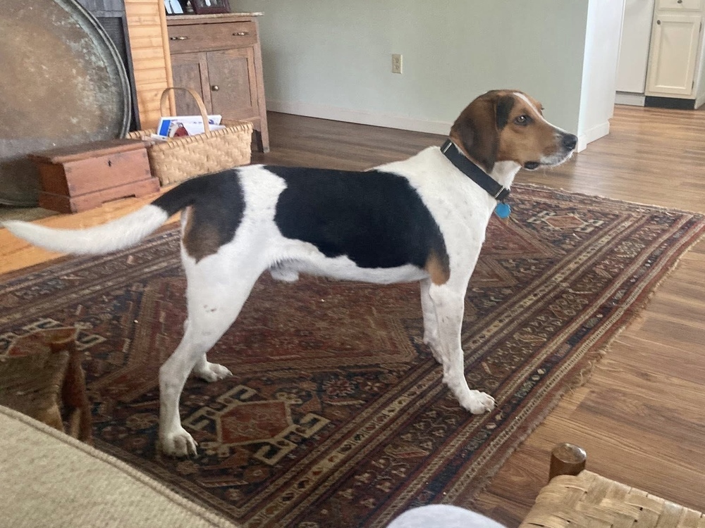 Walter