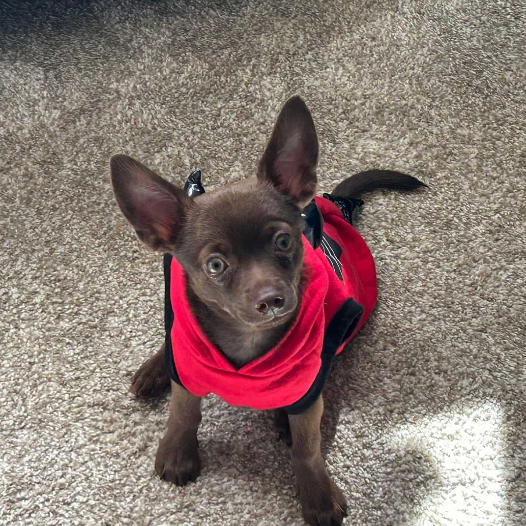 Charley