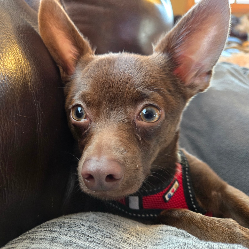 Charley