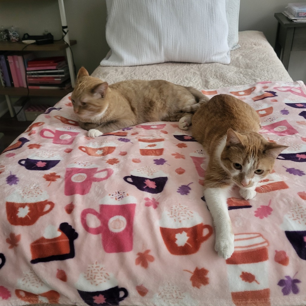 Sammy & Shorty - We're a bonded pair!