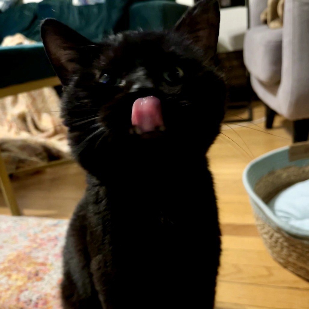 Oswald