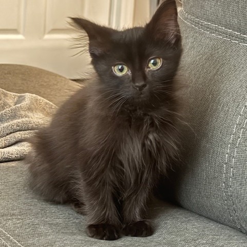 Leroy