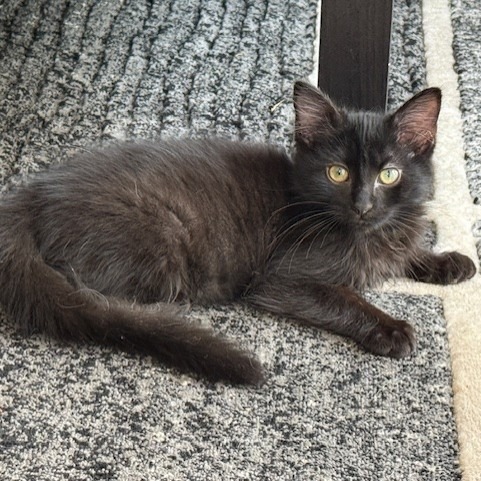 Leroy