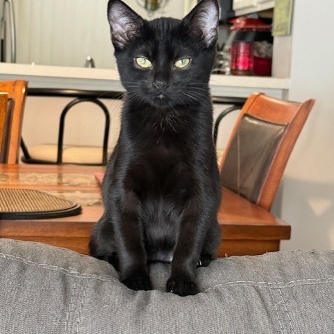 Liliana