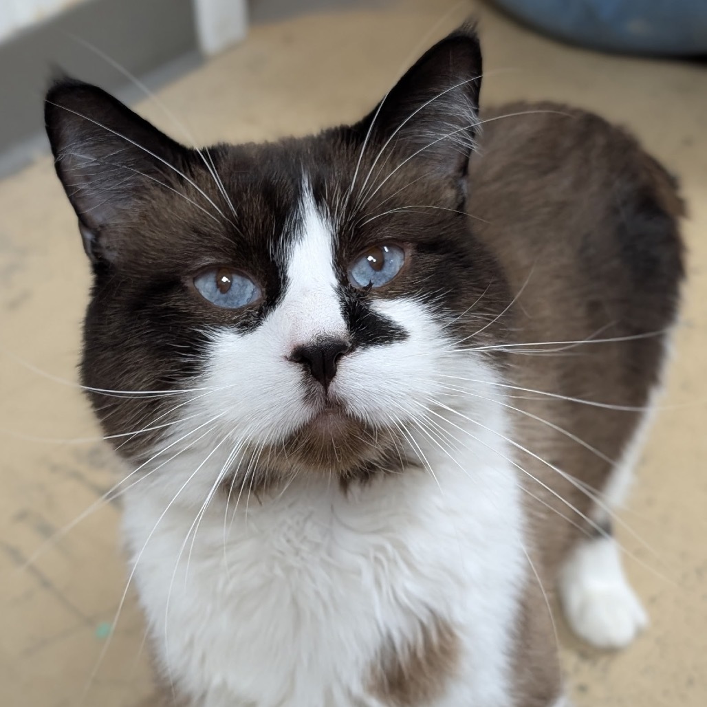 Max