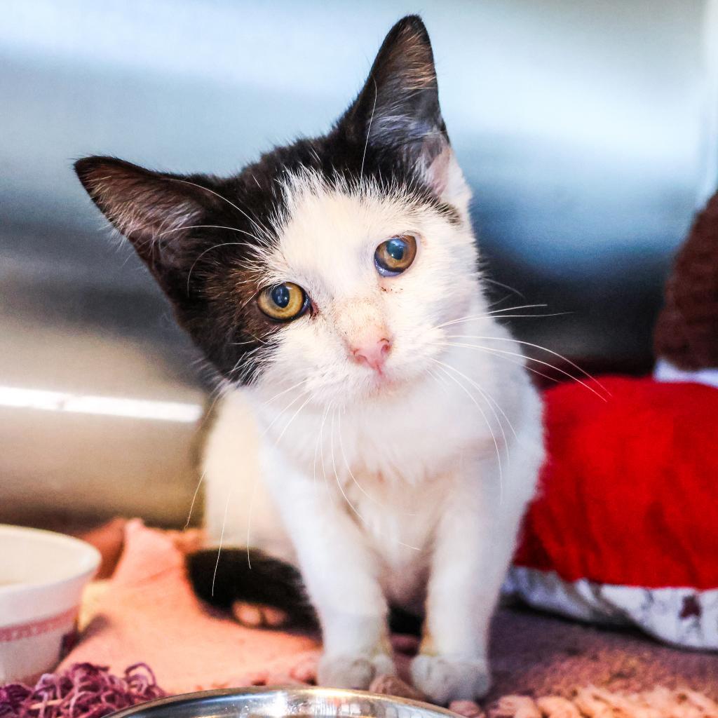 Mary (bonded with Winifred)