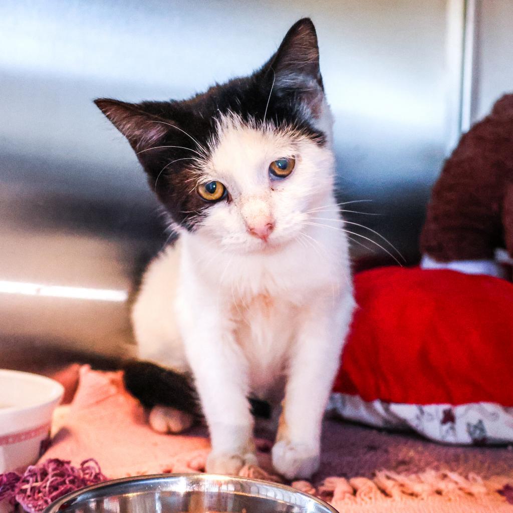 Mary (bonded with Winifred)