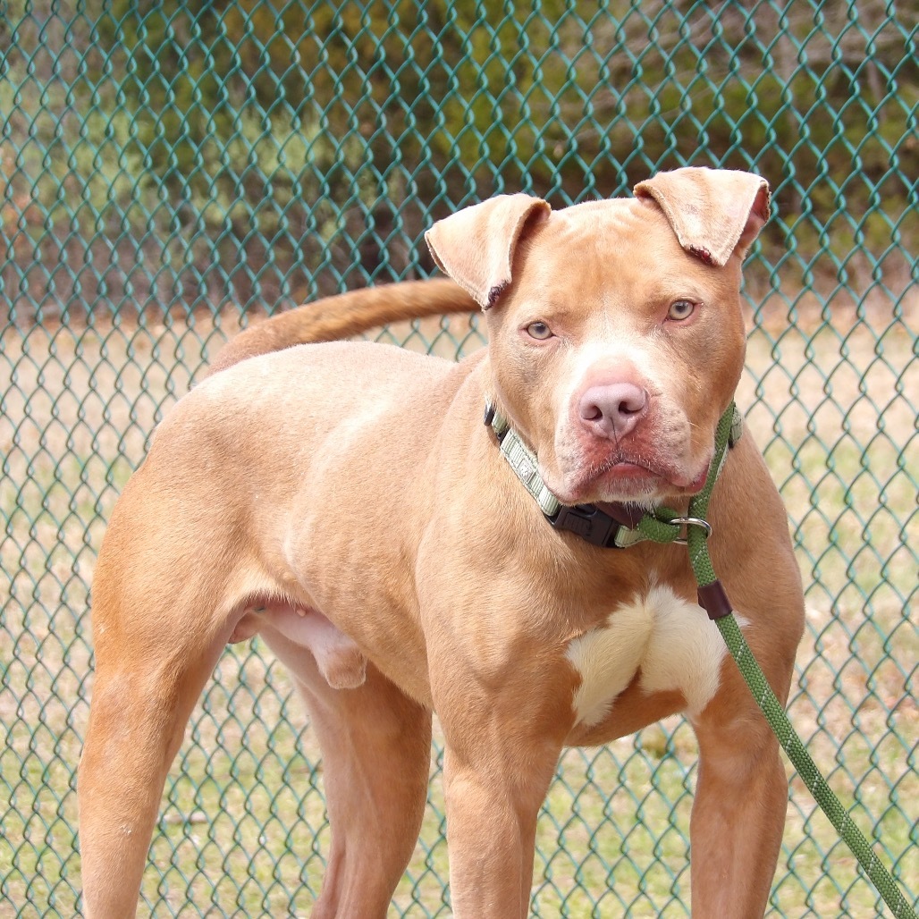 Jobe (In Foster)