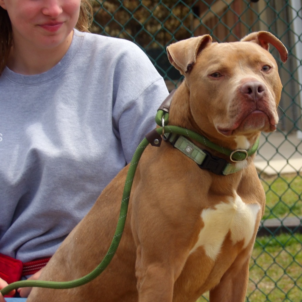 Jobe (In Foster)