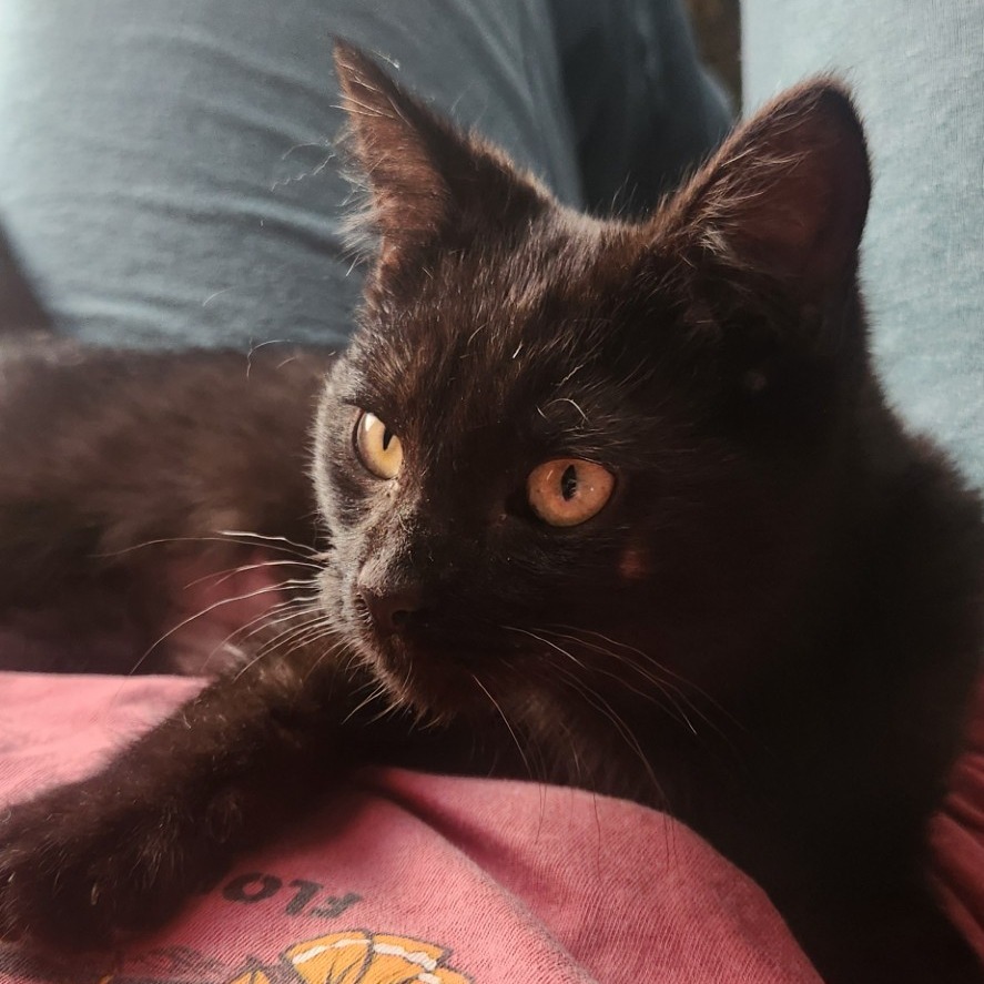 Pookie-Foster