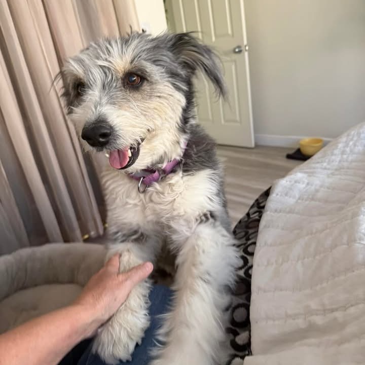 Annie