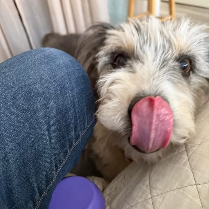 Annie