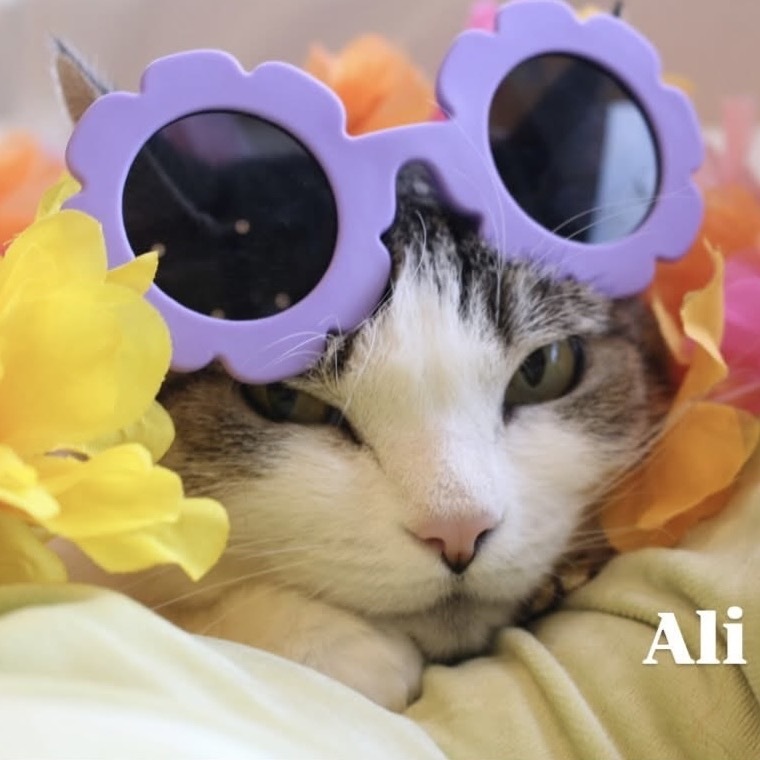 Ali