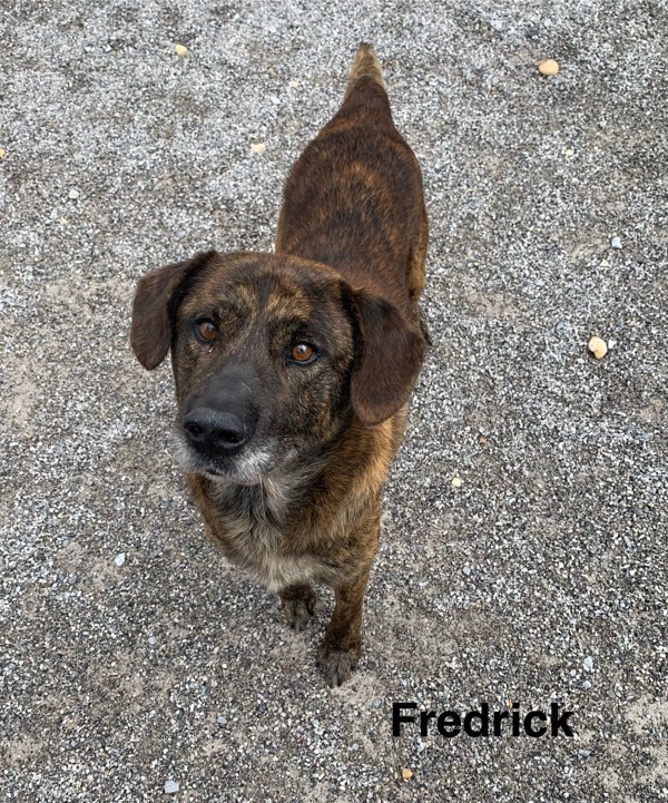 Fredrick 2