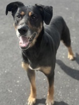 Lenny 5