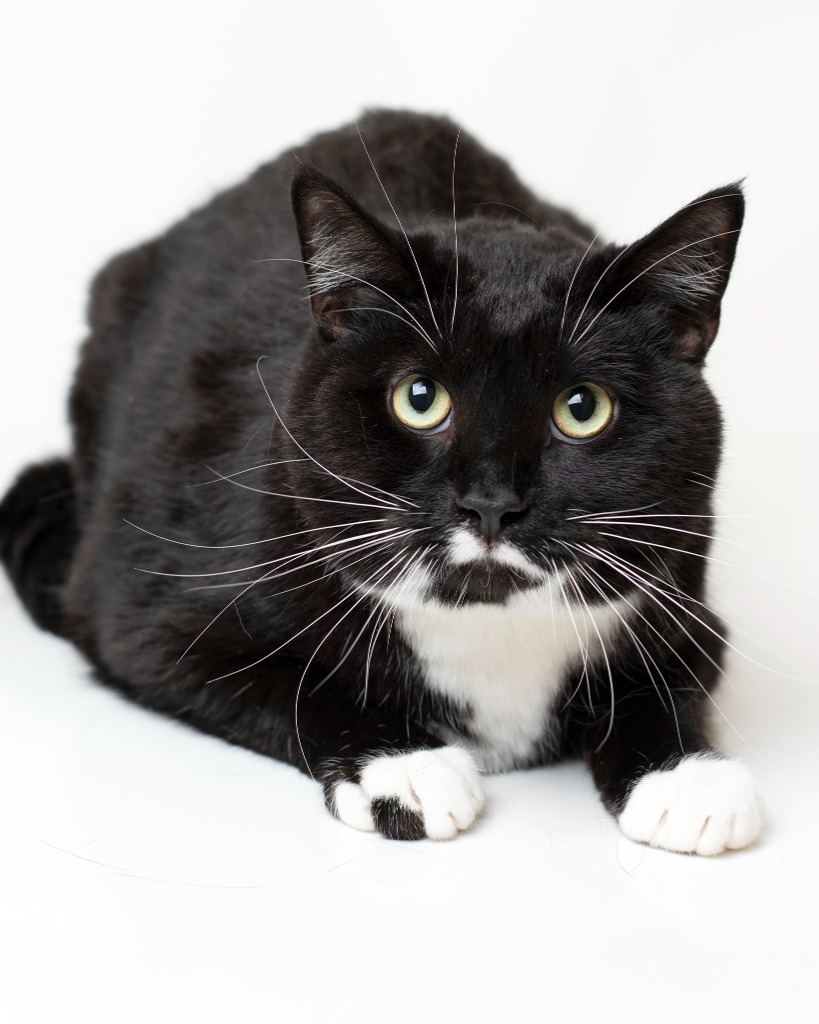 Mr. Boots