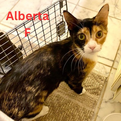 Alberta
