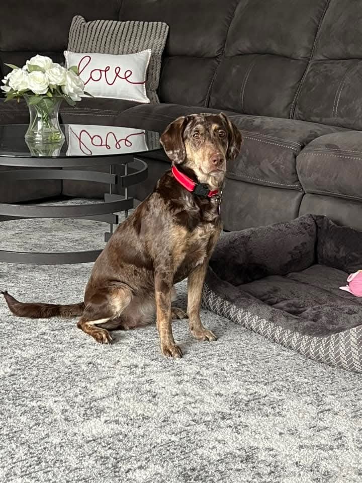 Bella