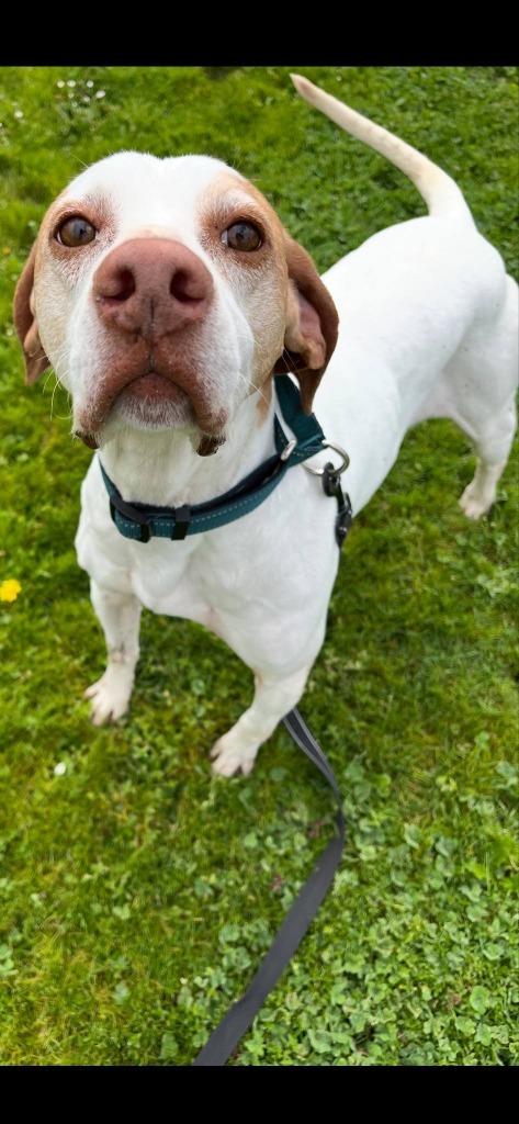 Bonnie