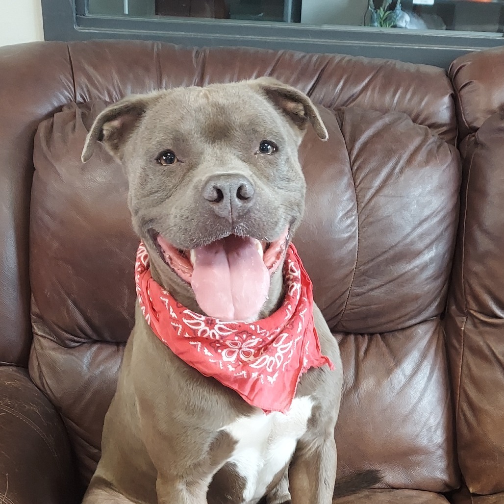 Buster