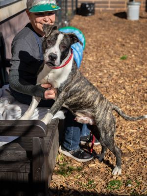 Reamer is a dreamer He dreams of the day he can leave shelter life behind and hopes you can help
