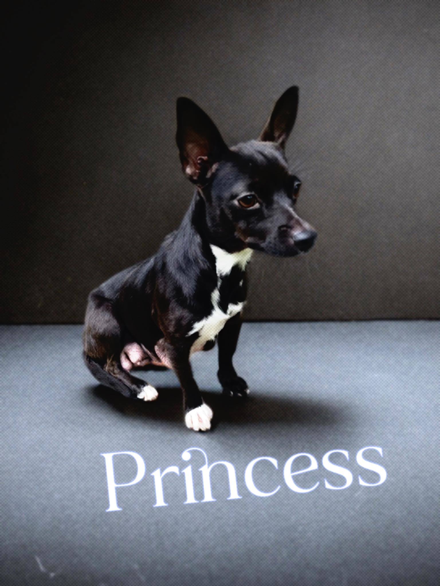 Princess