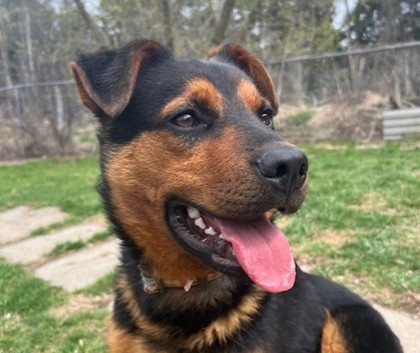 Sierra