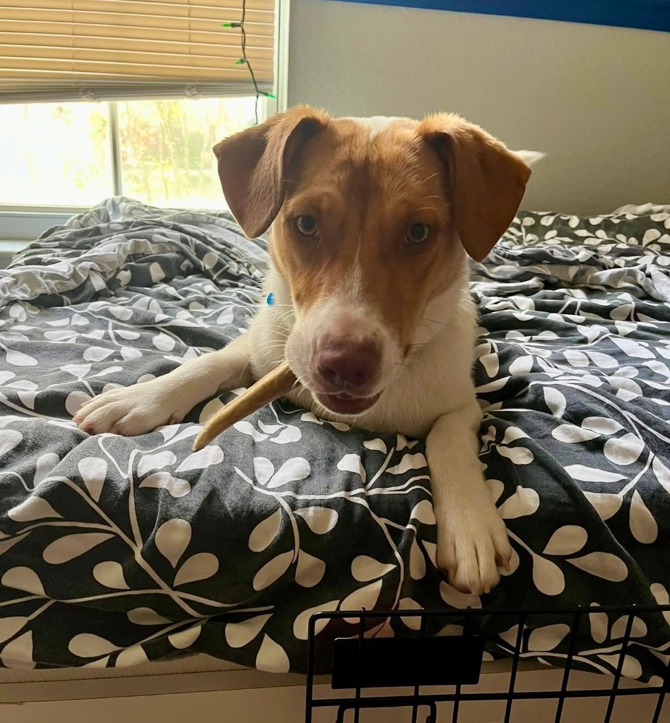 Ellie