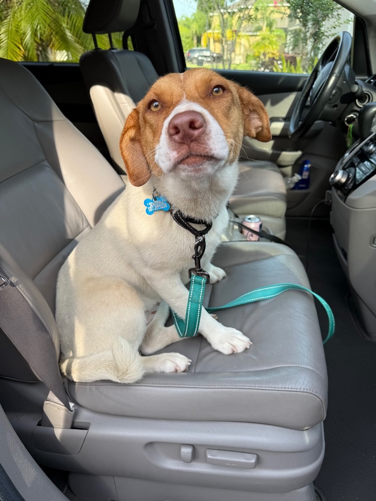 Ellie
