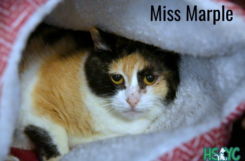 Miss Marple