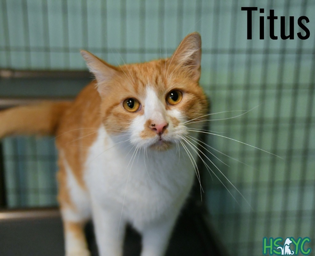 Titus