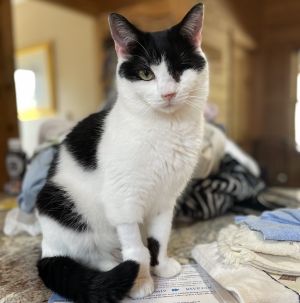 Chuckie has had quite the life already He was rescued from horrendous conditions on a vacant lot wh