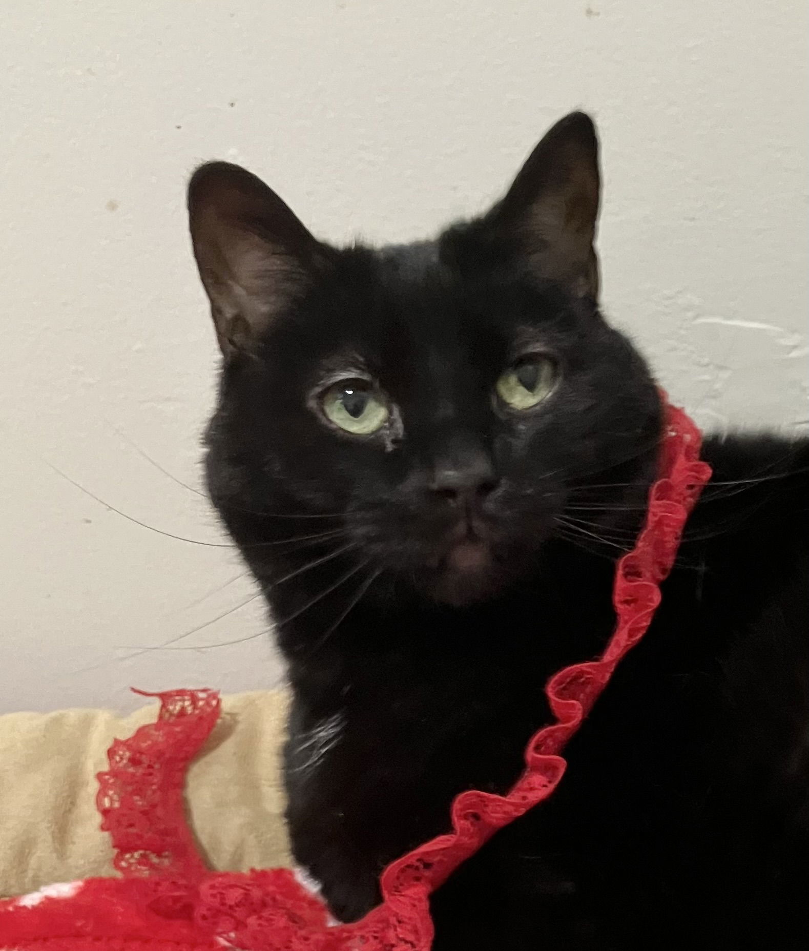 Salem