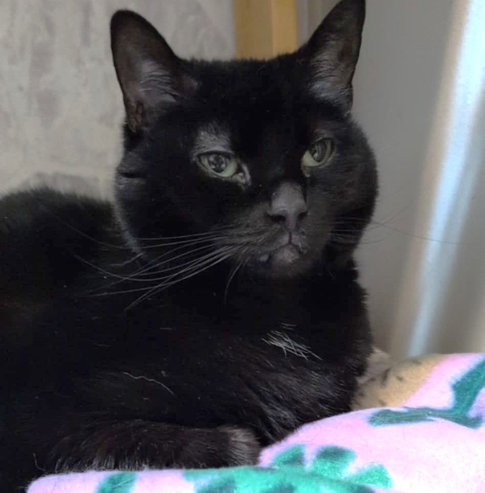 Salem