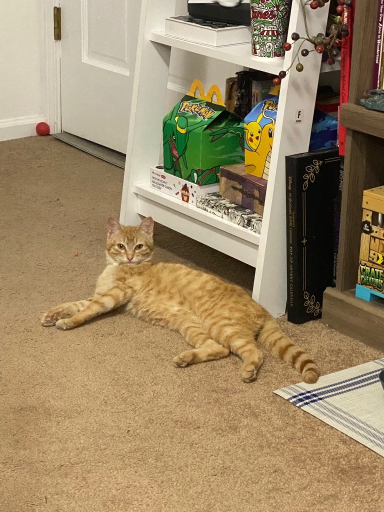 Butterscotch fka Penny
