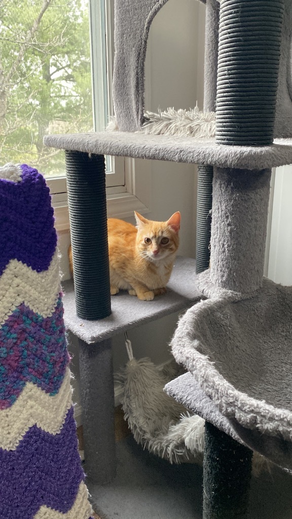 Butterscotch fka Penny