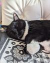 Marla photo 3