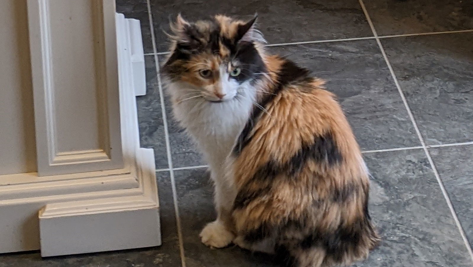 Mama Cal