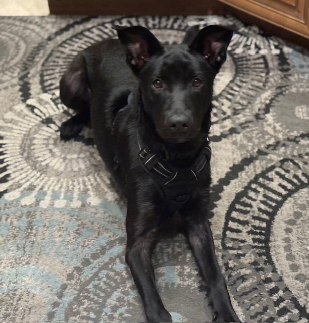 Kiko