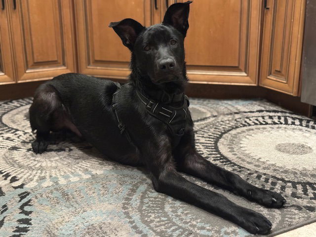 Kiko