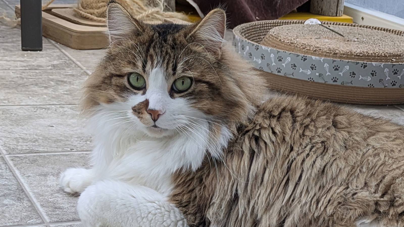 Marco