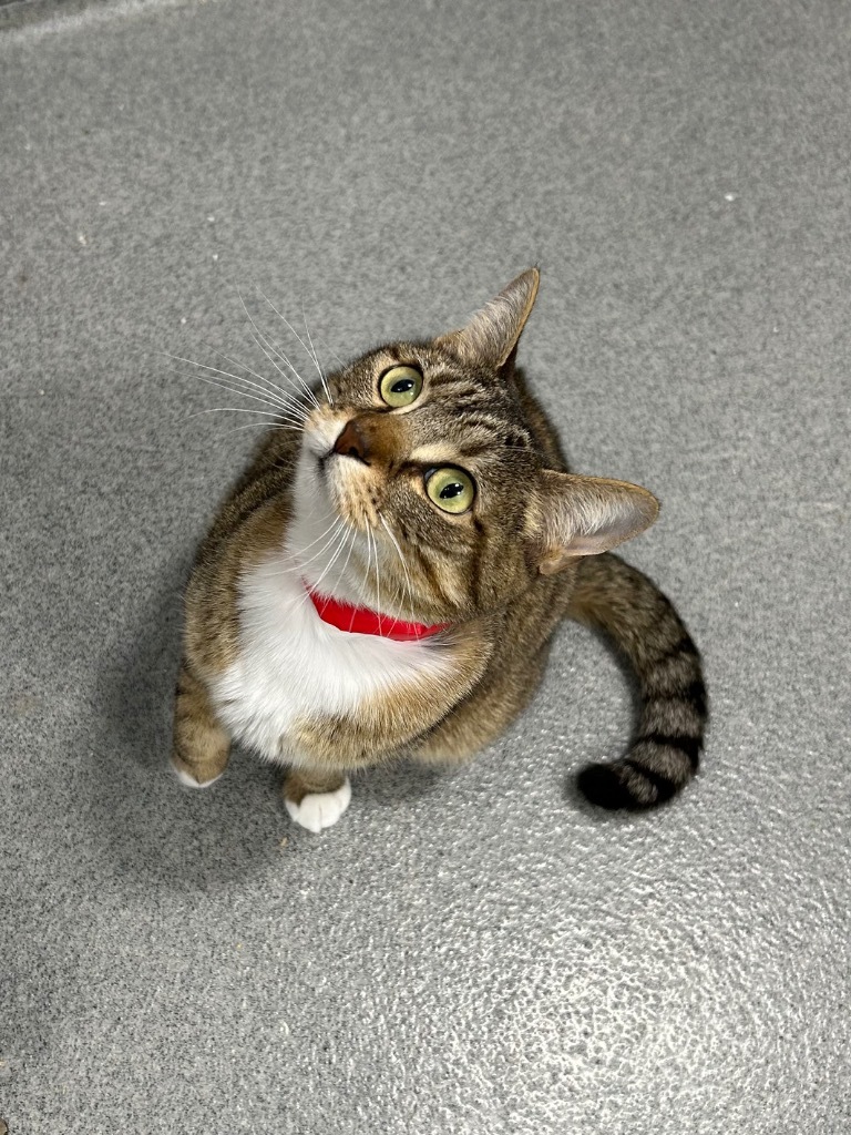 Bunny (PA) aka Mercury (MOM)