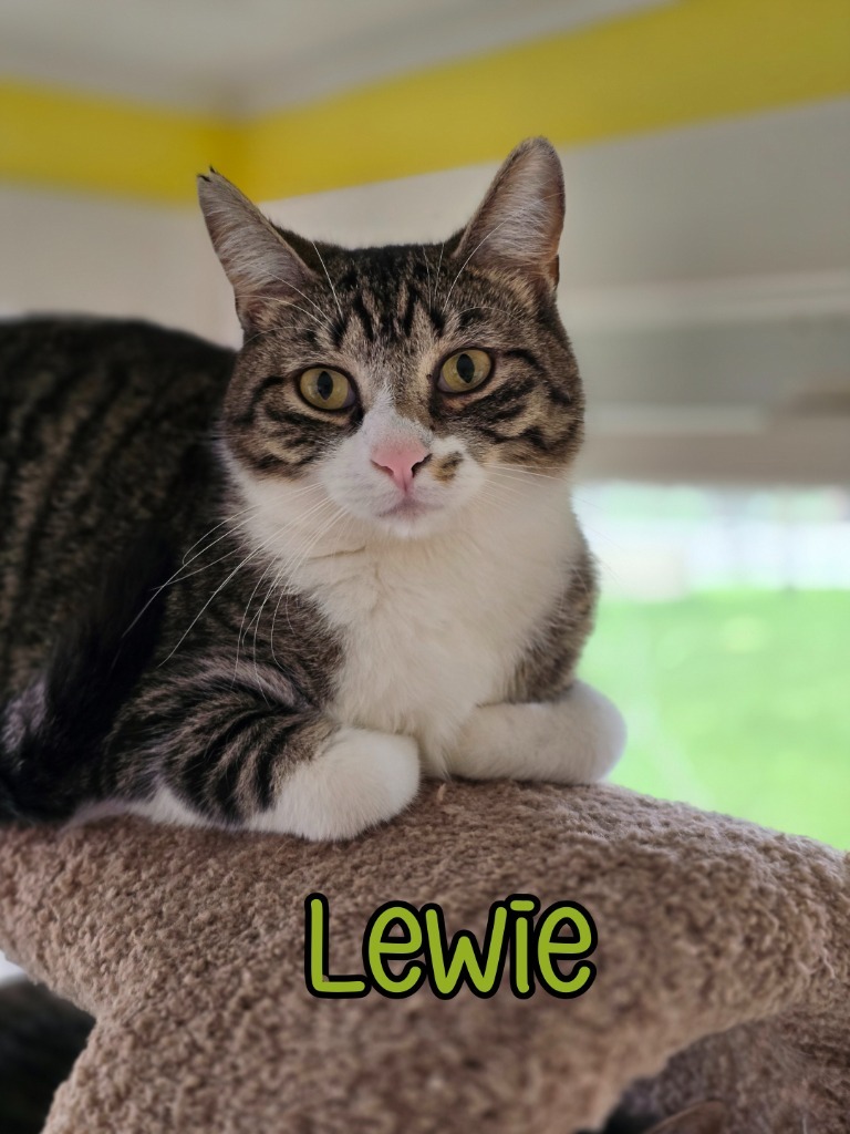 Lewie